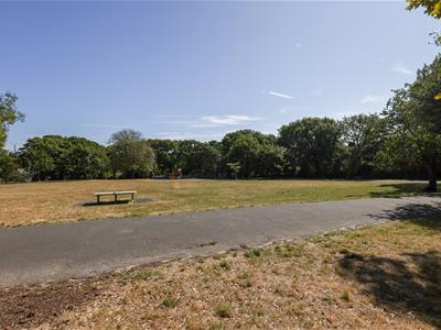 Picture 20